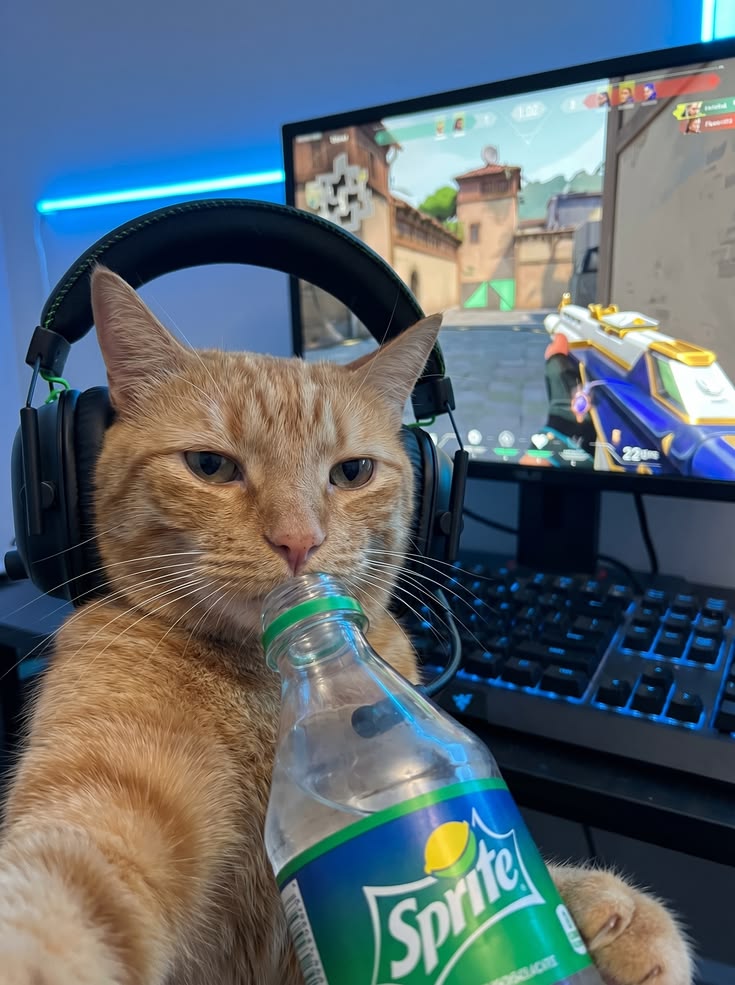 Gaming